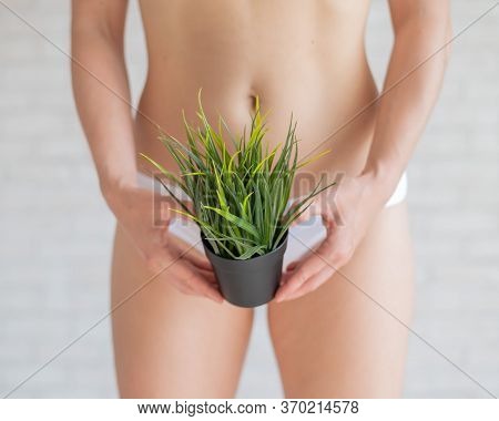 A Woman In White Panties Holds A Pot With A Bushy Plant On A Background Of Light Bricks. Refusal Of 