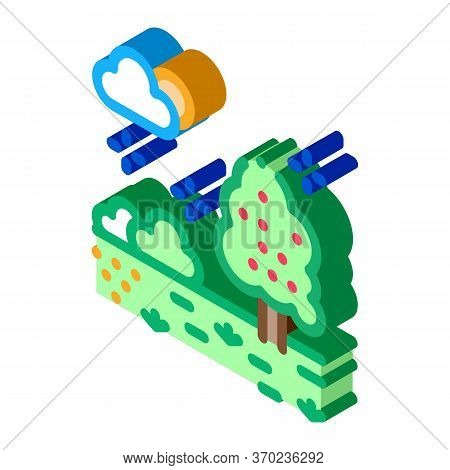 Territory Of Well-groomed Forest Icon Vector. Isometric Territory Of Well-groomed Forest Sign. Color