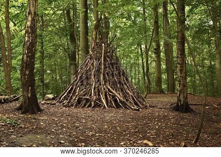 Rough Wooden Shelter Made Out Of Logs And Branches