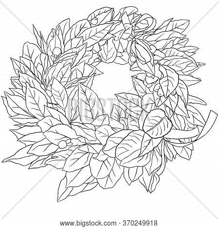 Color Page Laurel Wreath For Italian Graduation