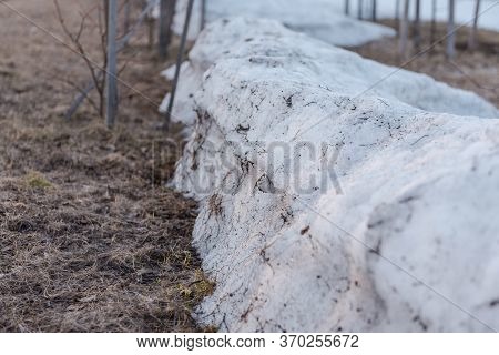 Spring Is On The Street. Dirty Snow. Snow Melts. Spring Weather.