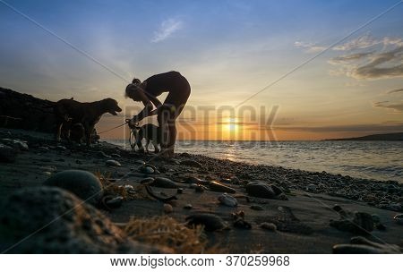 Banyuwangi, Indonesia - May 14, 2020 : A Woman Playing With The Dogs At Watudodol Beach Banyuwangi E