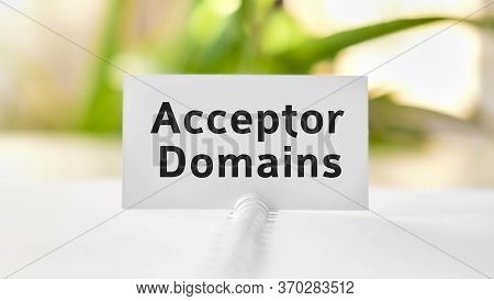 Acceptor Domain Business Seo Concept Text On A White Notebook And Green Flowers