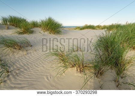 Beach With Sand Dunes And Marram Grass In Soft Sunrise Sunset Light. Skagen Nordstrand, Denmark. Ska
