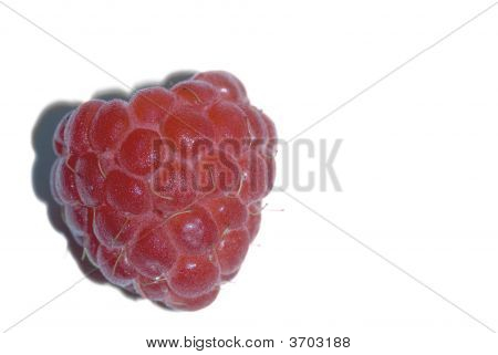Raspberry Close On Image & Photo (Free Trial) | Bigstock