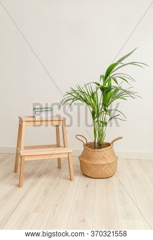 Plant Howea In Wicker Basket And Books. Vertical Format. Plant Home Decoration