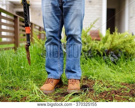 Man Diging Holes A Shovel For Planting Juniper Plants In The Yard. Seasonal Works In The Garden. Lan