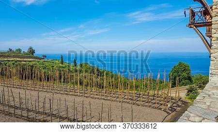 Holy Monastery Hilandar Landscape Hdr, Mount Athos