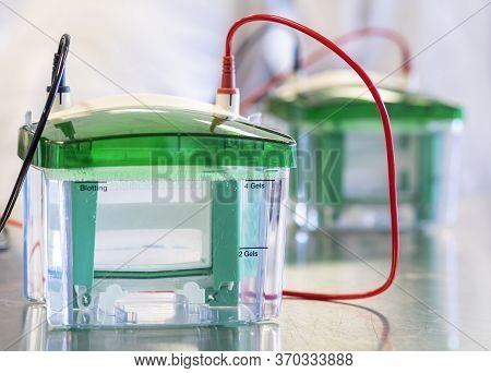 Electrophoresis Chamber Or Tank Prepared With Solution. Protein Samples Are Loaded Into Numbered Wel