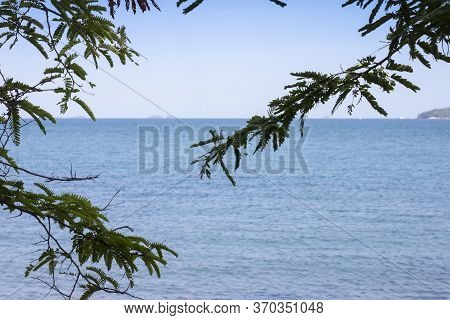 View From A Tree On The Island That Overlooks The Vast Sea At Khao Leam Ya, Rayong Thailand.