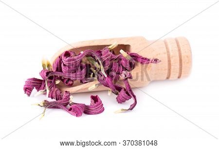 Dried Echinacea Flowers On Wooden Spoon, Isolated On White Background. Petals Of Echinacea Purpurea.