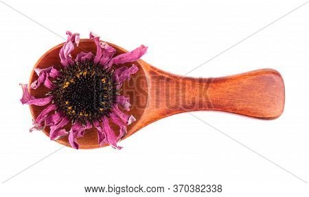 Dried Echinacea Flowers On Wooden Spoon, Isolated On White Background. Petals Of Echinacea Purpurea.