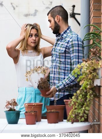 Returning American Wife In Shock Of Husband And Shrunken Plants