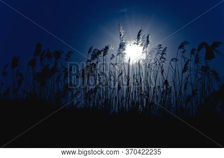 Bright Moon In The Night Sky Over The River
