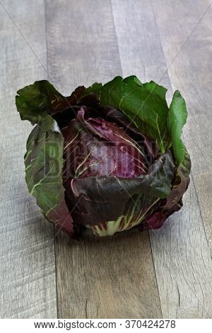 radicchio chioggia, italian fresh vegetable