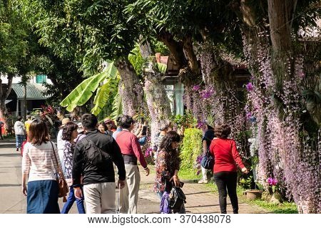 Nantou, Taiwan - April 9th, 2020: dendrobium flowers at street with tourists in Zhongxing new village, Nantou, Taiwan, Asian