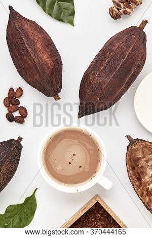 Cocoa Beans In Pods On A White Background