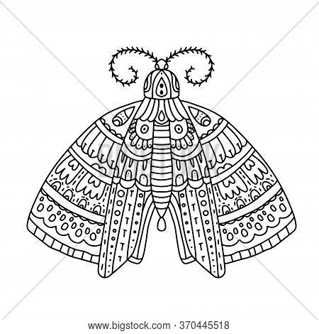 Detailed Ornamental Vector Photo Free Trial Bigstock