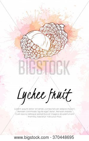 Vertical Banner With Lychee Tropical Fruit Illustration With Pink And Red Watercolor Splashes. Sketc