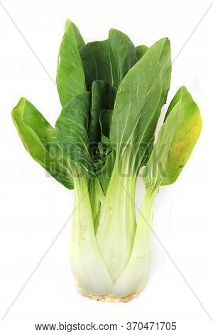 Pac-choi Traditional Chinese Vegetable Isolated