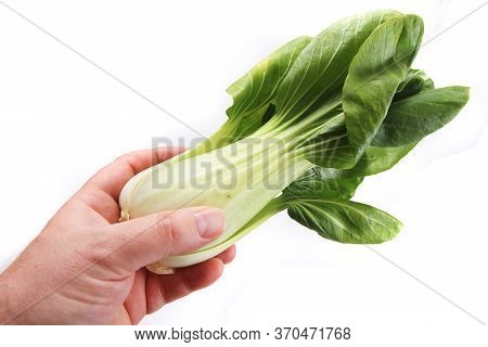 Pac-choi Traditional Chinese Vegetable Isolated