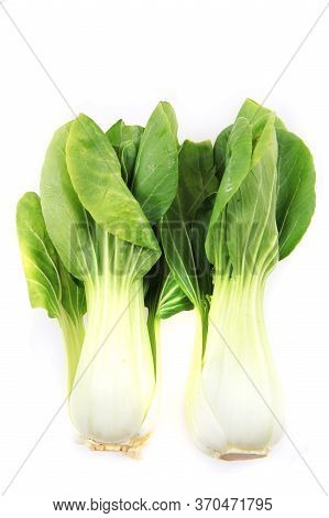 Pac-choi Traditional Chinese Vegetable Isolated