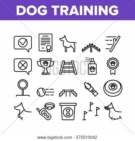 Dog Training Equipment Collection Icons Set Vector. Animal Dog With Muzzle And Medal, Certificate An