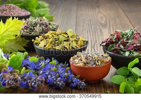Bowls Of Dry Medicinal Herbs - Mistletoe, Wild Marjoram, Heather. Calendula Flowers, Bilberry Twigs 