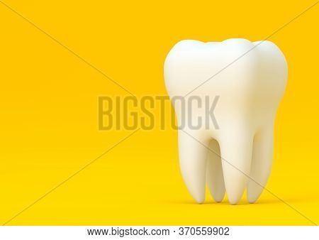 Dental Model Of Premolar Tooth On Yellow Background. Concept Of Dental Examination Teeth, Dental Hea
