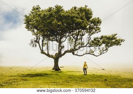Traveller woman feeling the power of the nature at an ancient forest