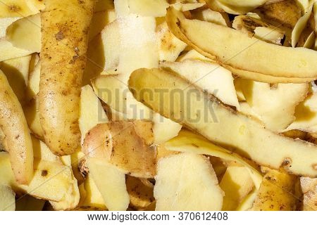 Potato Skin Pattern. Close Up Top View.