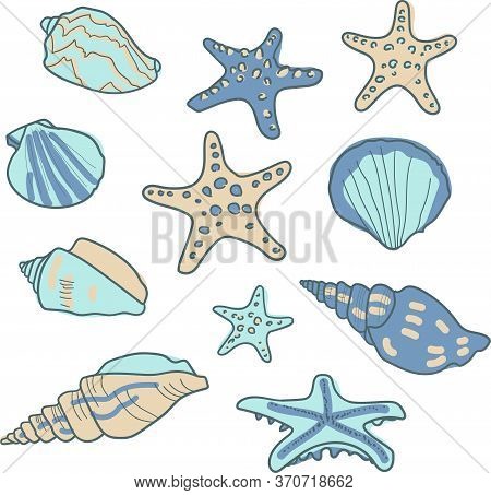 Vector Set Pattern With Seashells And Starfishes. Marine Background. Vector Collection In Sketch Sty