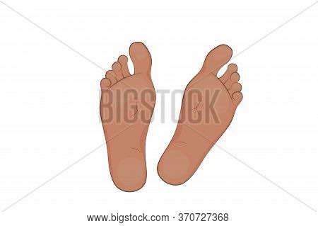 Vector Illustration Of A Mans Feet. Legs, Sole, Body Part.
