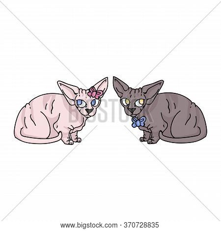Cute Cartoon Sphynx Kitten Boy And Girl Vector Clipart. Pedigree Exotic Kitty Breed For Cat Lovers. 