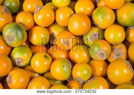 Solanum Quitoense - Lulo Tropical Fruit. Top View