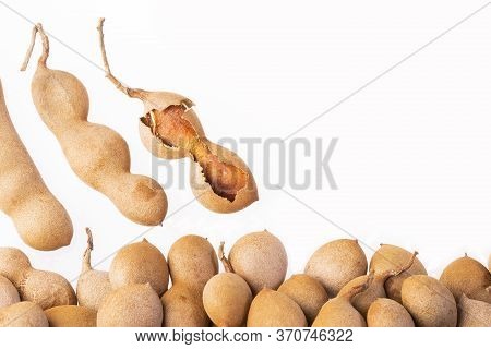 Tamarind Tropical Fruit - Tamarindus Indica. Text Space