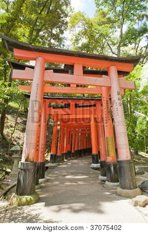 Slavné šintoistická svatyně Fushimi Inari Taisha nedaleko Kjóta zahrnuje kolem 1300 oranžové torii brány, Jap