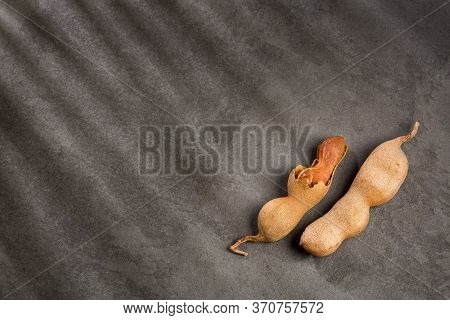 Tamarind Tropical Fruit - Tamarindus Indica. Text Space