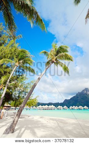 Smukke strand med udsigt over Otemanu-bjerget på Bora Bora island