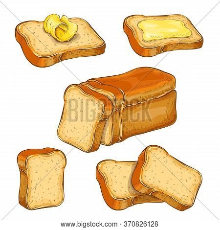 Set Of Wheat Sliced Bread And Toasts Illustration Isolated On White. White Square Loaf With Various 
