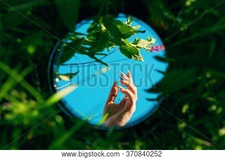 Hand Display In Mirror. Concept Of Providing Assistance With Psychological Problems