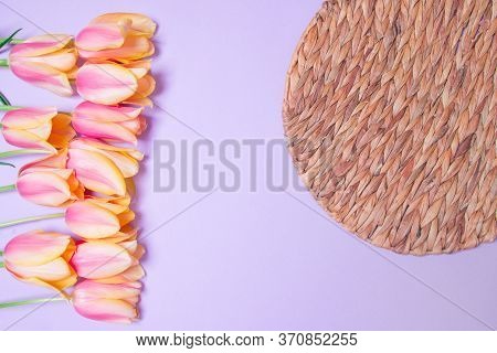 Bouquet Of Tulips , Rottan Circle On Purple Colored Paper Background.