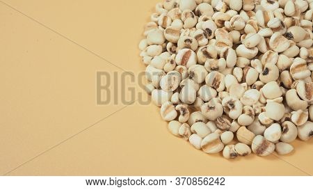 Job's Tears, Also Known As Adlay And Coix On White Background. Popular In Asian Cultures As A Food S