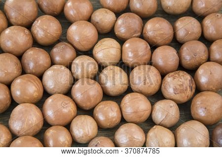 Macadamia Nuts - Macadamia Integrifolia. Top View