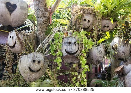 Thailand Sop Ruak Coconut Shop