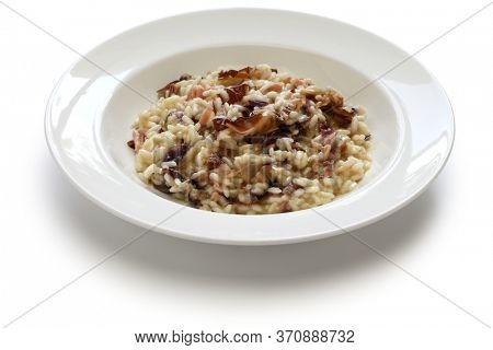 radicchio al risotto, italian cuisine isolated on white background