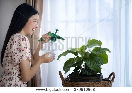 Asian Girl Water The Plants In House, This Image Can Use For Calathea Orbifolia, Water The Plants, F