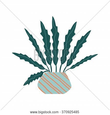 Funny Cartoon Flat Vector House Plant In Pot