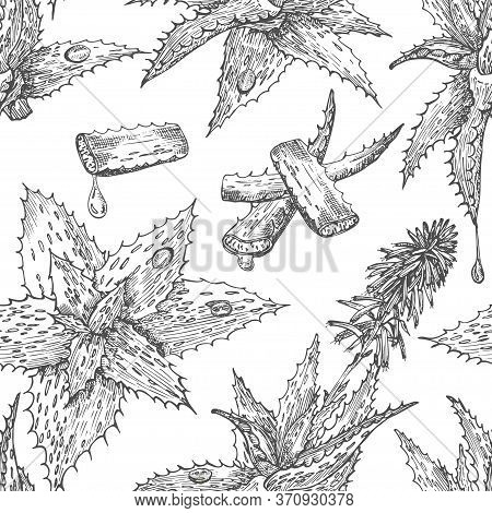 Seamless Pattern With Hand Drawn Aloe Vera Lives And Flower In Black Color Isolated On White Backgro