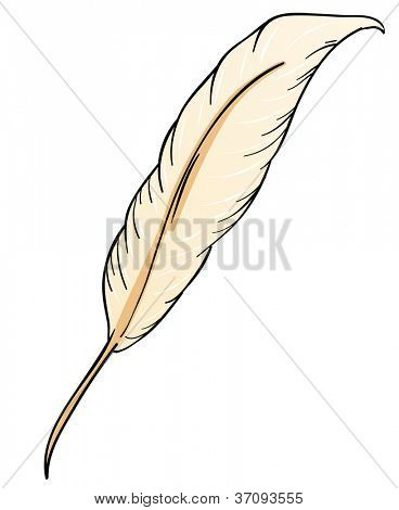 illustration of a feather in white background